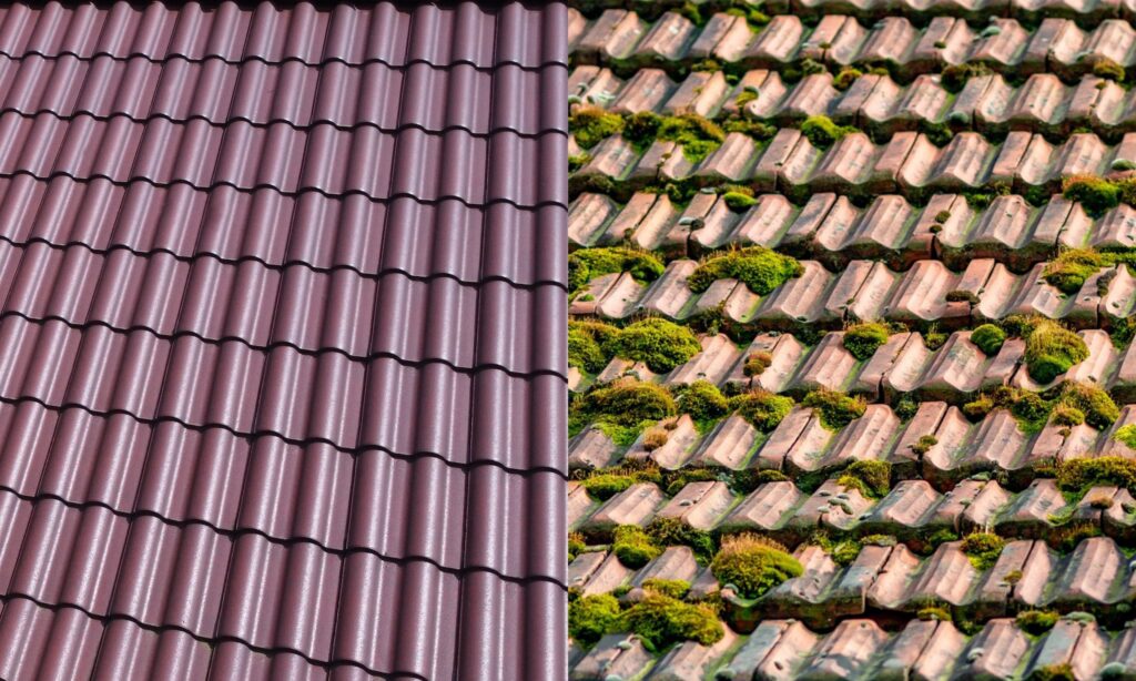 Algae on Ceramic Roof Tiles: Causes, Effects, and Effective Solutions