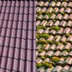 Algae on Ceramic Roof Tiles: Causes, Effects, and Effective Solutions