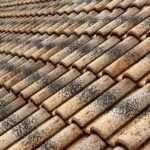 Clay Roof Tiles: Benefits, Types, Cost, Installation & Maintenance Guide